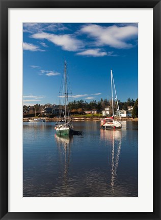 Framed Comox Harbor, Vancouver Island, British Columbia, Canada Print