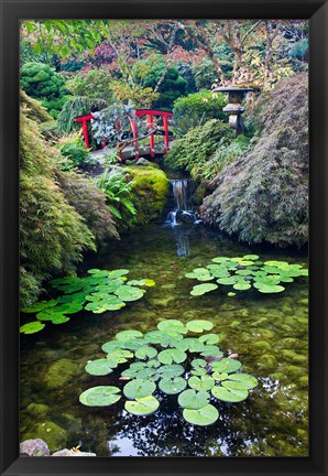 Framed Red Bridge, Autumn Color, Butchard Gardens, Victoria, British Columbia, Canada Print