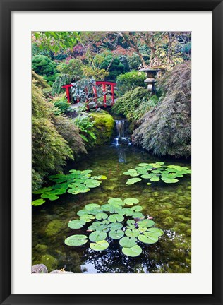 Framed Red Bridge, Autumn Color, Butchard Gardens, Victoria, British Columbia, Canada Print