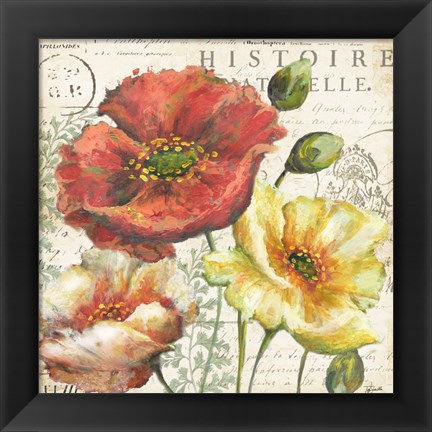 Framed Spice Poppies Histoire Naturelle I Print