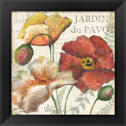 Framed Spice Poppies Histoire Naturelle II Print