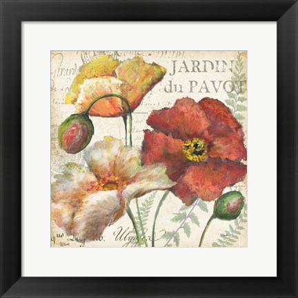 Framed Spice Poppies Histoire Naturelle II Print