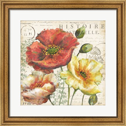 Framed Spice Poppies Histoire Naturelle I Print