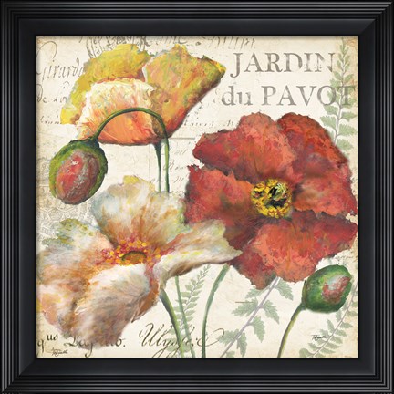 Framed Spice Poppies Histoire Naturelle II Print
