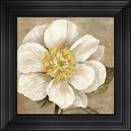 Framed Up Close Cream Rose Print