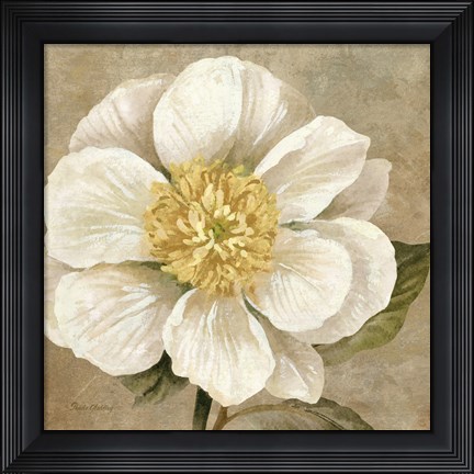 Framed Up Close Cream Rose Print
