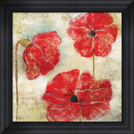 Framed Poppy Passion II Print