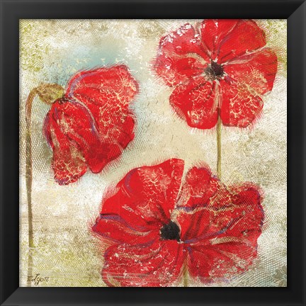 Framed Poppy Passion II Print