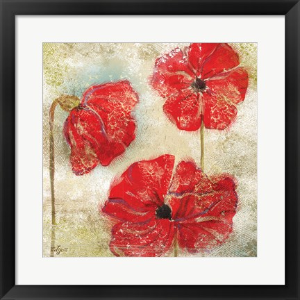 Framed Poppy Passion II Print