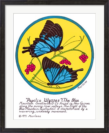 Framed Blue Mountain Swallowtail Print