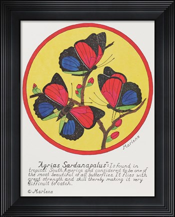 Framed Agrias Sardanaplaus Print