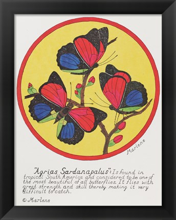 Framed Agrias Sardanaplaus Print