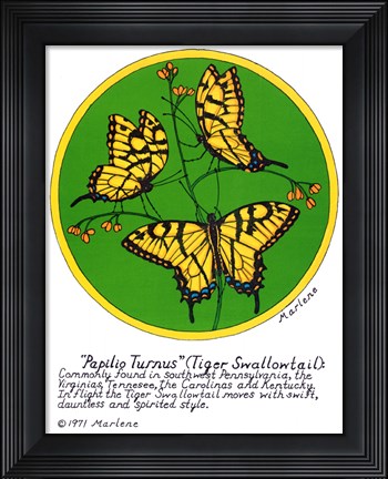 Framed Tiger Swallowtail Print