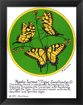 Framed Tiger Swallowtail Print