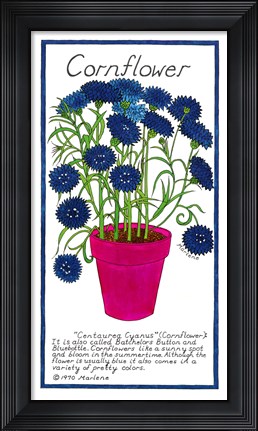 Framed Cornflower Print