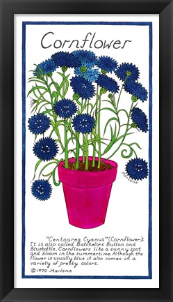 Framed Cornflower Print