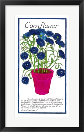 Framed Cornflower Print