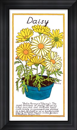 Framed Daisy Print