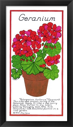 Framed Geranium Print