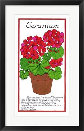 Framed Geranium Print