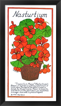 Framed Nasturtium Print