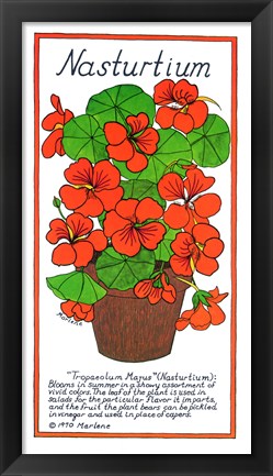 Framed Nasturtium Print