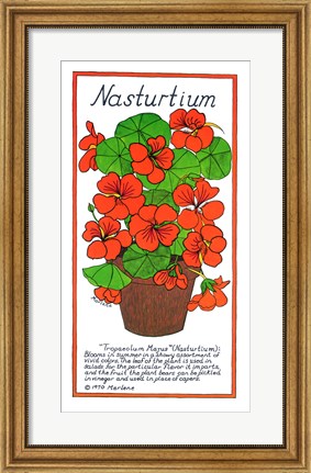 Framed Nasturtium Print