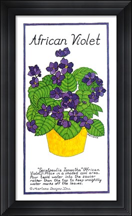 Framed African Violet Print