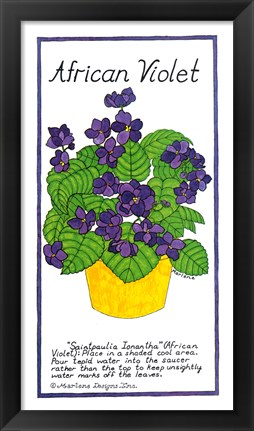 Framed African Violet Print