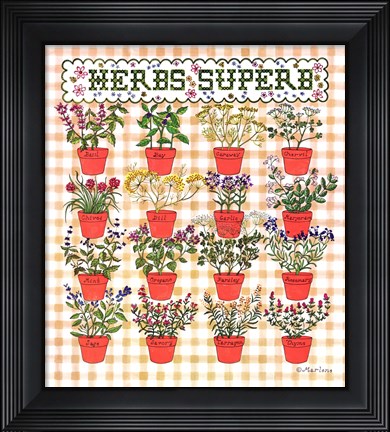 Framed Herbs Superb Print