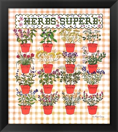 Framed Herbs Superb Print