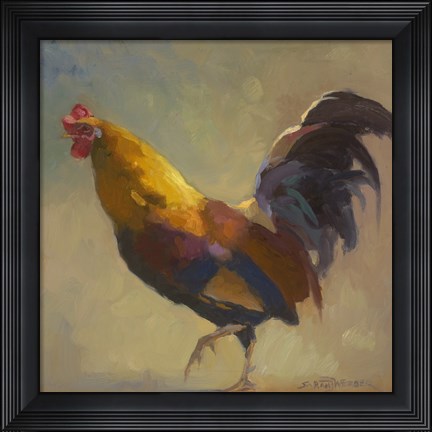 Framed Fancy Dancer Print