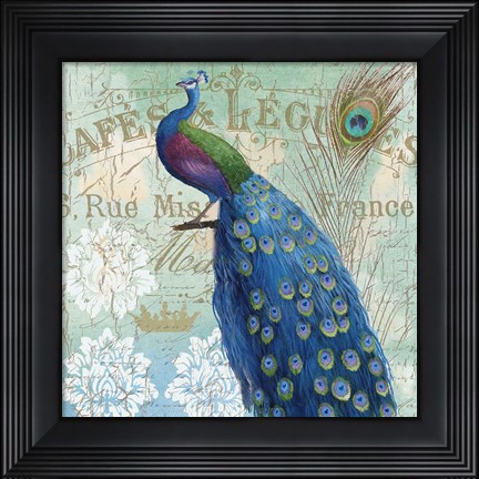 Framed Le Plume II Print
