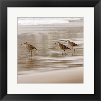 Framed Shore Birds I Print