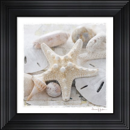 Framed Sanibel I Print