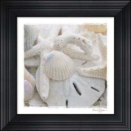 Framed Sanibel III Print