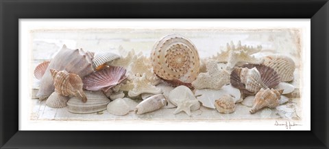 Framed Treasures by the Sea II Print