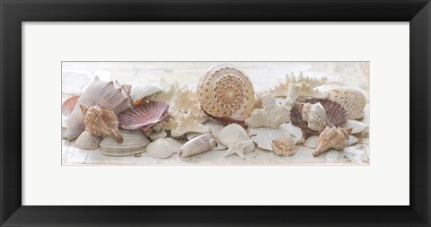 Framed Treasures by the Sea II Print