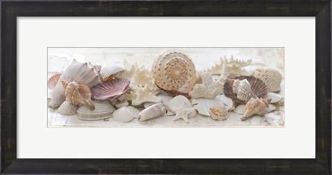 Framed Treasures by the Sea II Print
