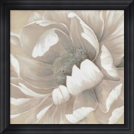 Framed Winter Blooms II Print