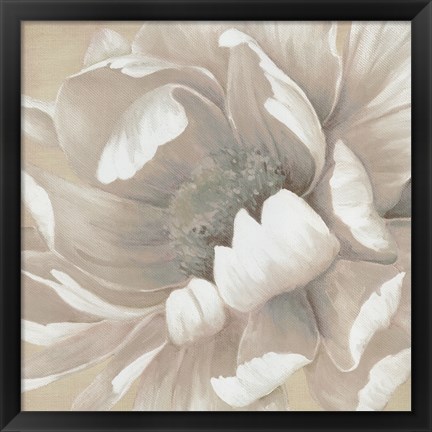 Framed Winter Blooms II Print