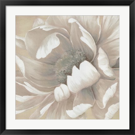 Framed Winter Blooms II Print