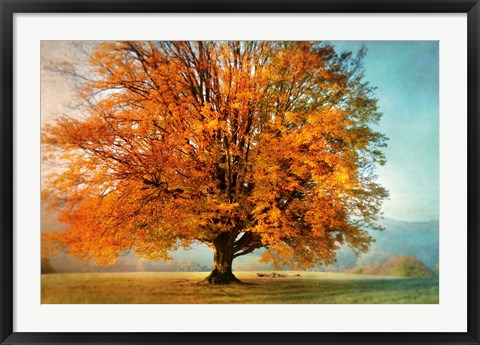 Framed Autumn&#39;s Passion Print