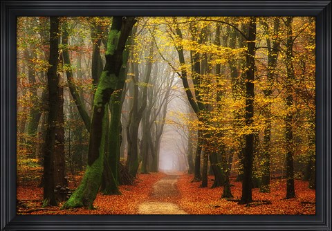 Framed Shimmer Print