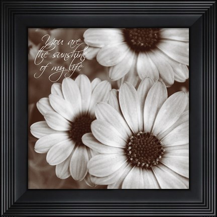 Framed Sepia Blossoms I Print