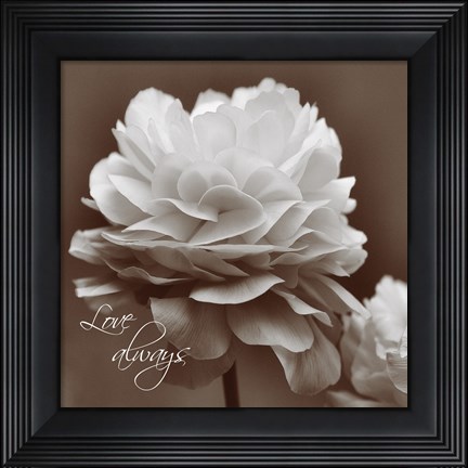 Framed Sepia Blossoms II Print
