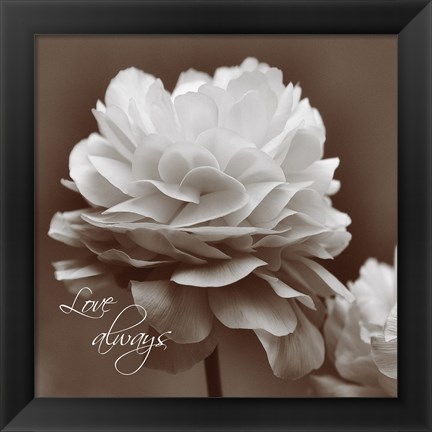 Framed Sepia Blossoms II Print