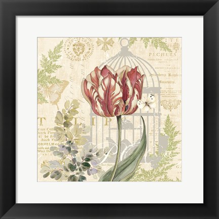 Framed Floral Nature Trail II Print