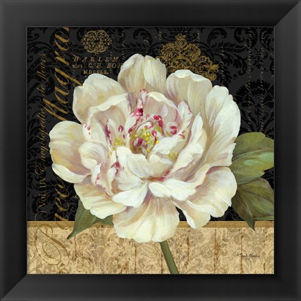 Framed Antique Still Life Peony Print