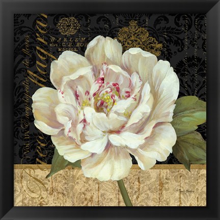 Framed Antique Still Life Peony Print